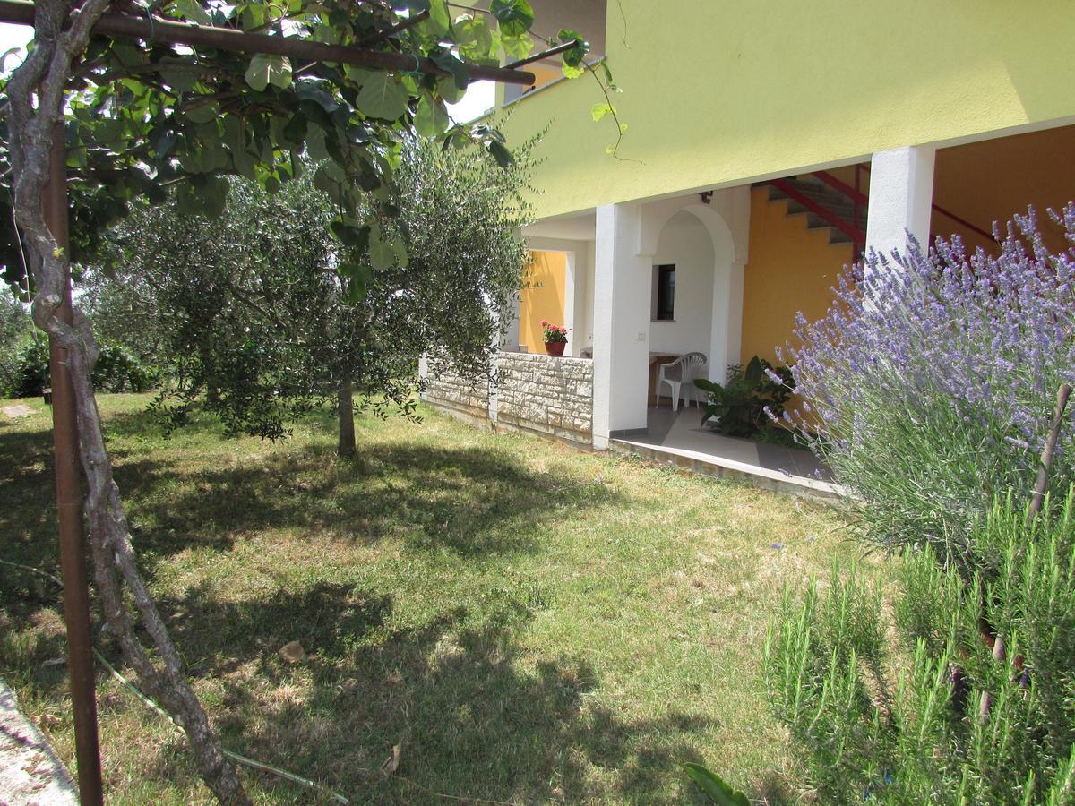Apartments Goga Umag Luaran gambar