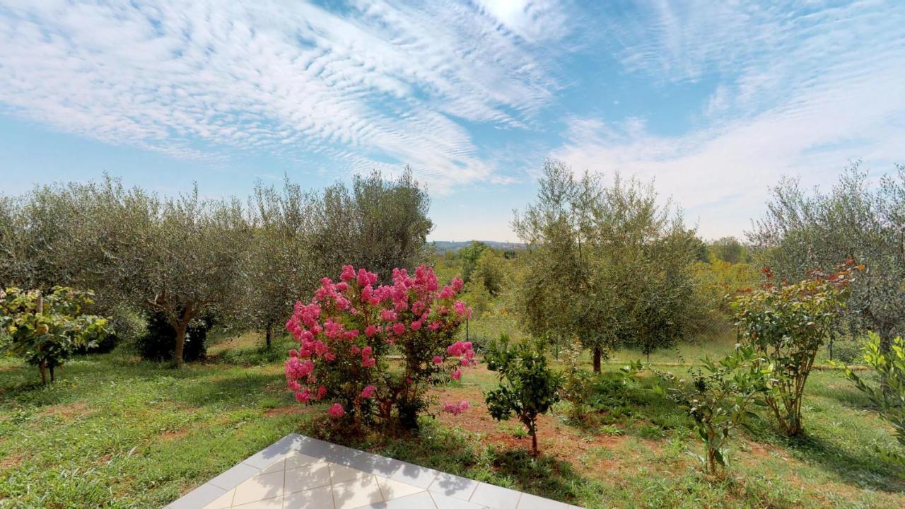 Apartments Goga Umag Luaran gambar